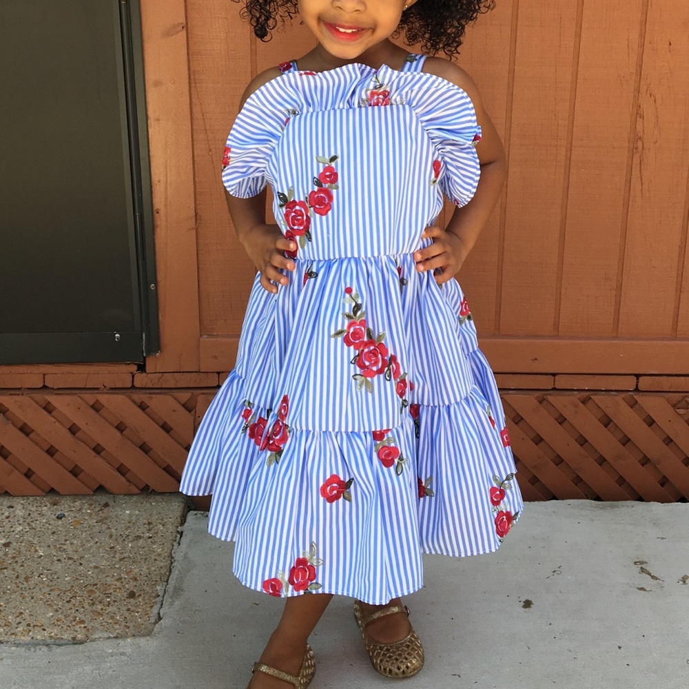 Rose printed Blue Striped Dress w/petticoat